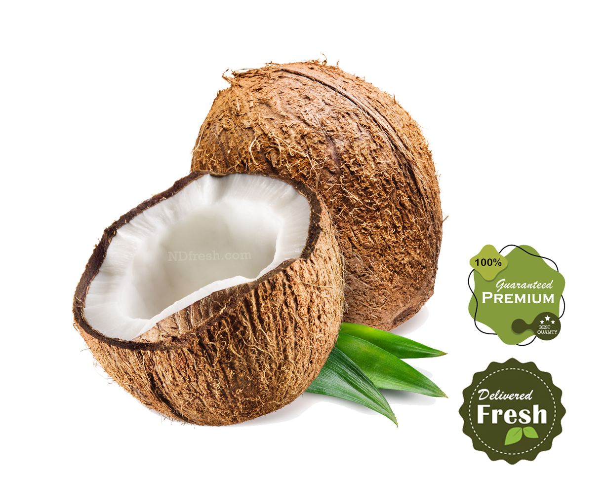 Coconut with shell buy online Canada Toronto ND Fresh