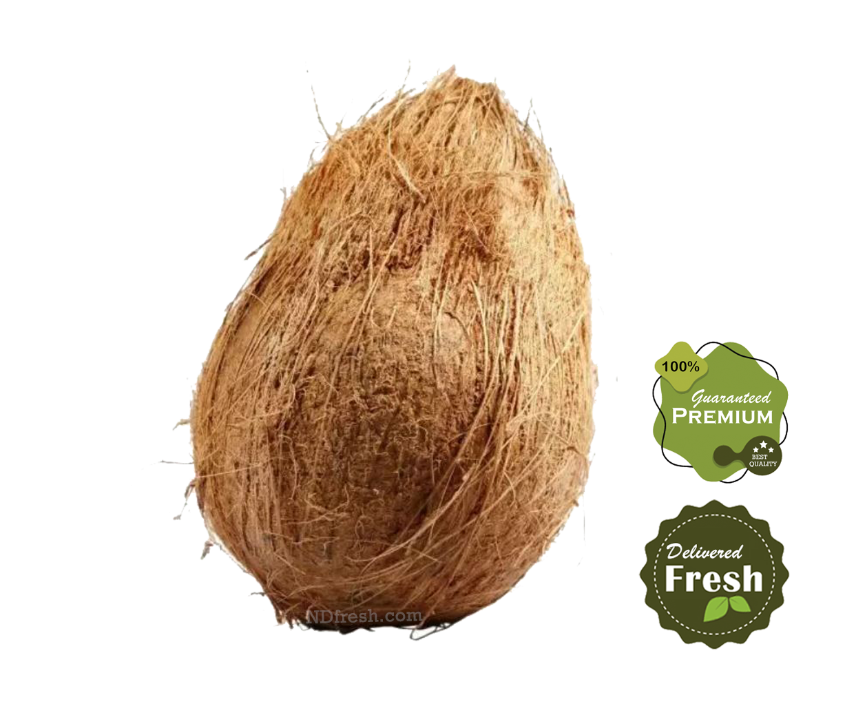 Coconut