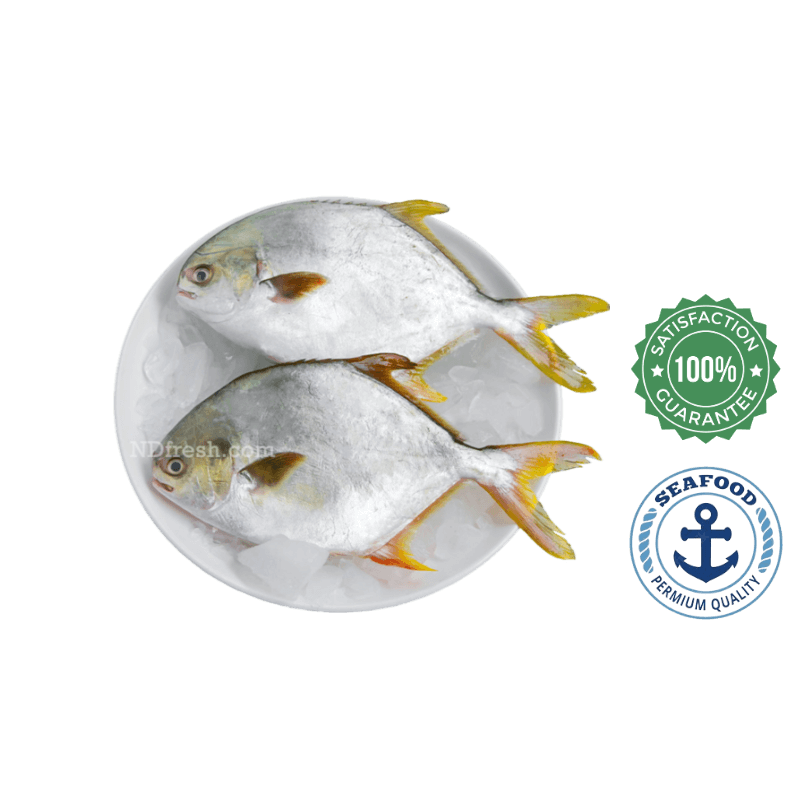 Marinated  Pomfret / Pompano