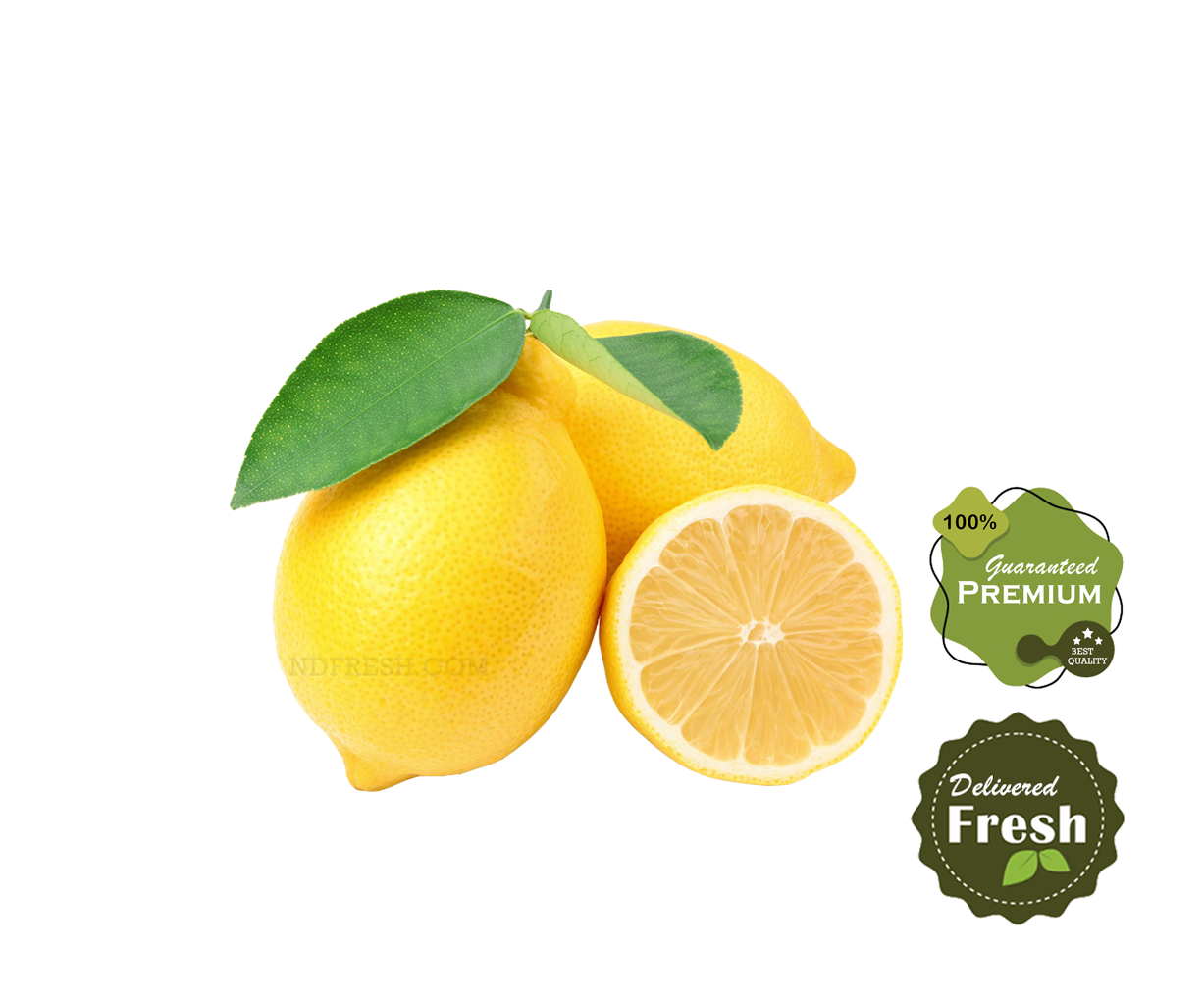 Fresh Lemon ( 3 Pack )