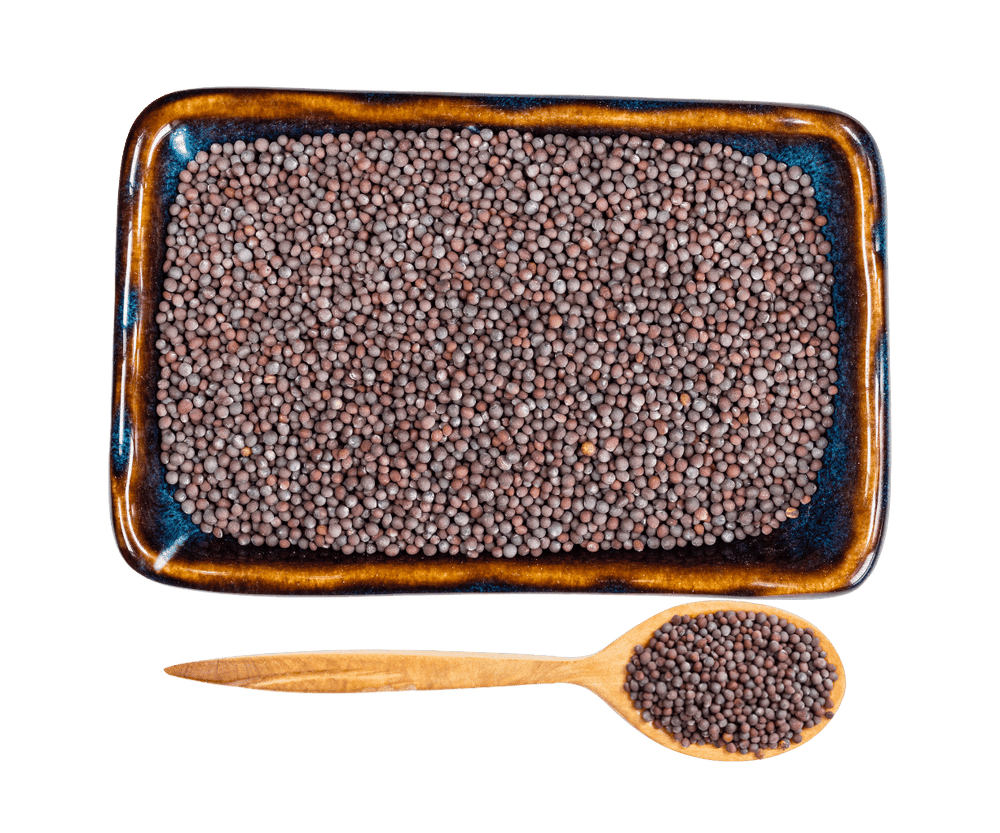 
                  
                    Authentic Premium Indian Mustard Seeds
                  
                