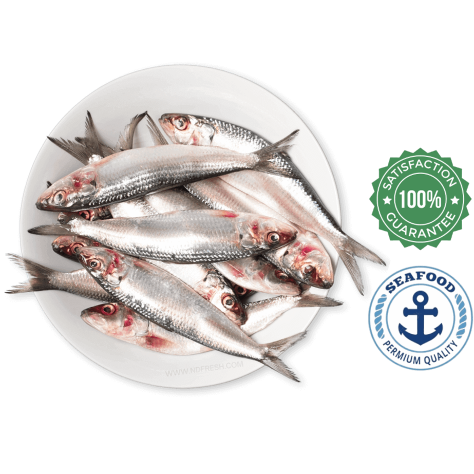 Premium Fish & Seafood - Fresh | Home Delivery | Toronto GTA – NDFRESH