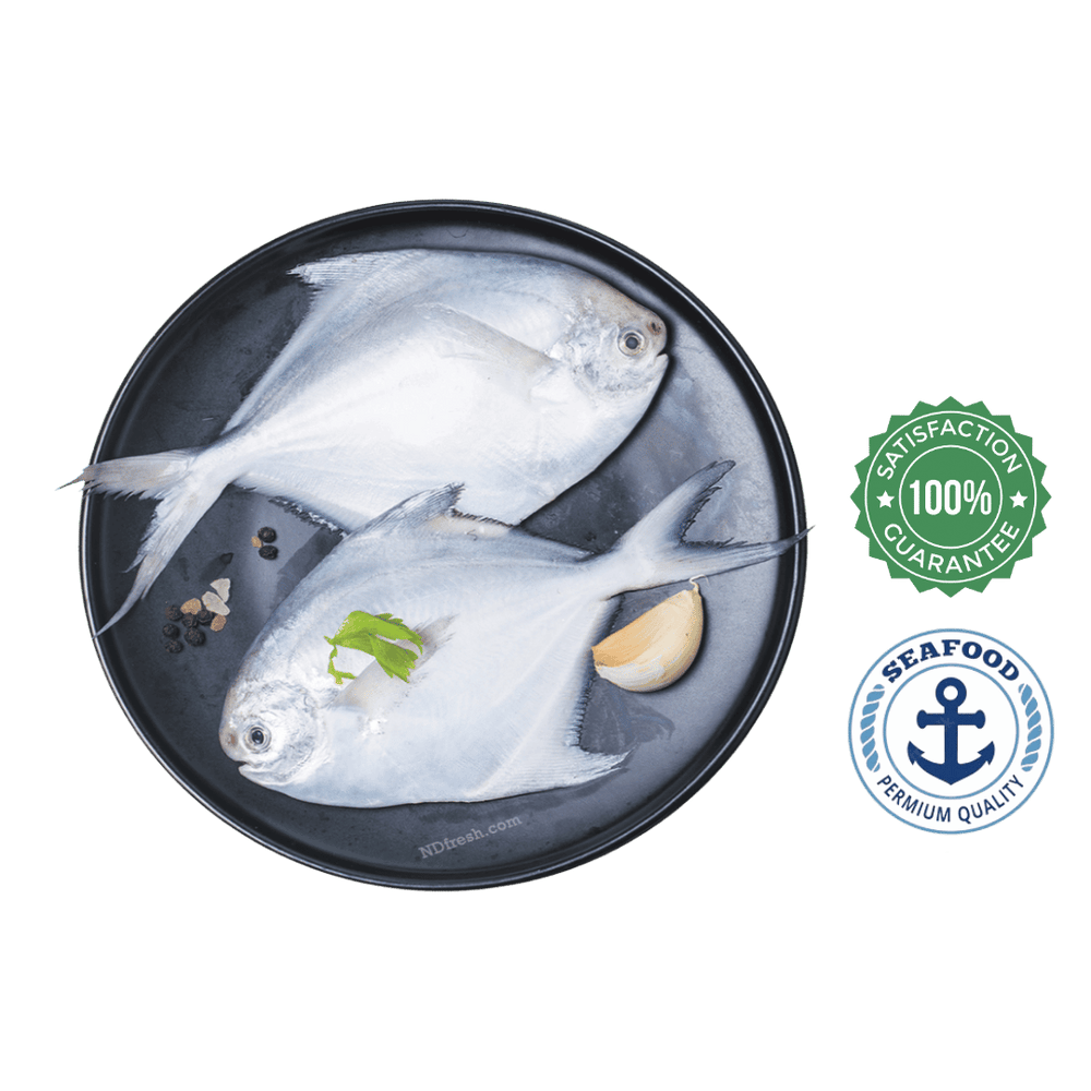 Silver Pomfret / White Pomfret / Avoli