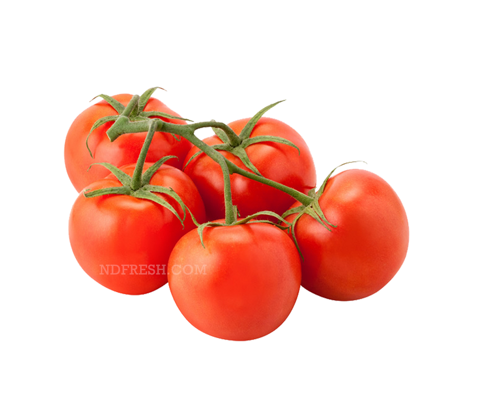 tOMATO vINE 