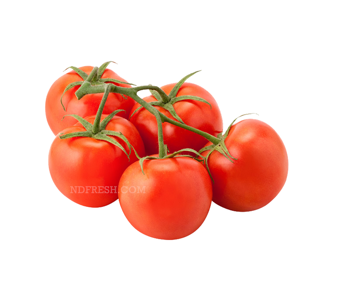tOMATO vINE 