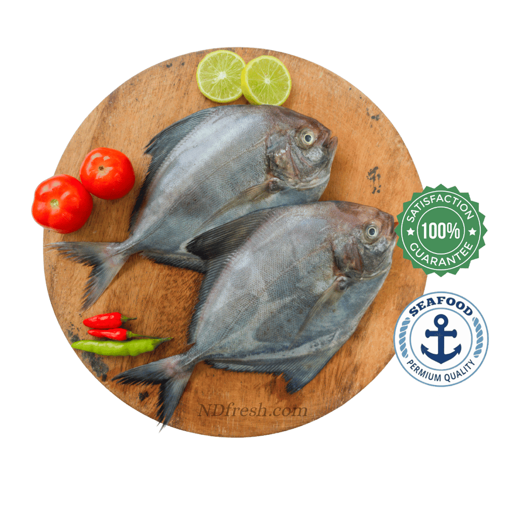 Black Pomfret / Avoli