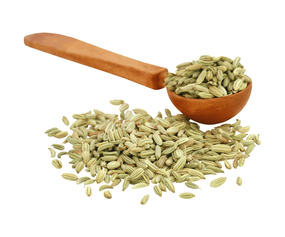 
                  
                    Fennel Seeds - Whole
                  
                