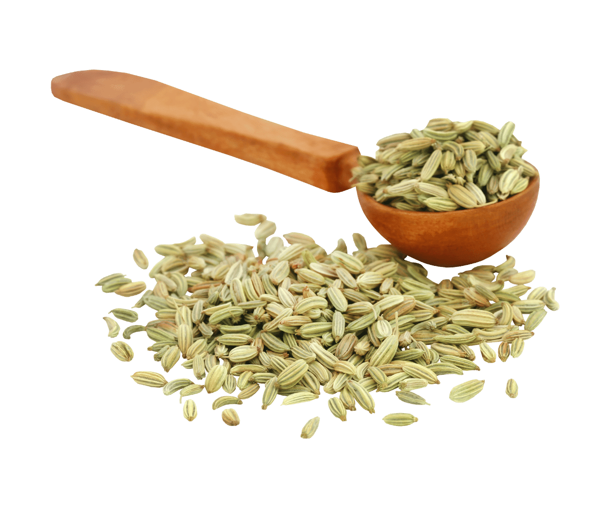 
                  
                    Fennel Seeds - Whole
                  
                