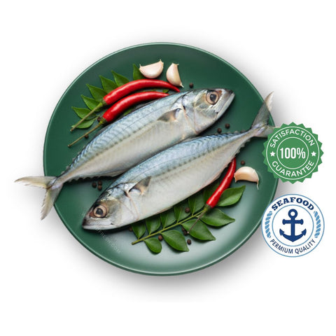 Indian Mackerel / Ayala / Bangda - Cleaned Whole
