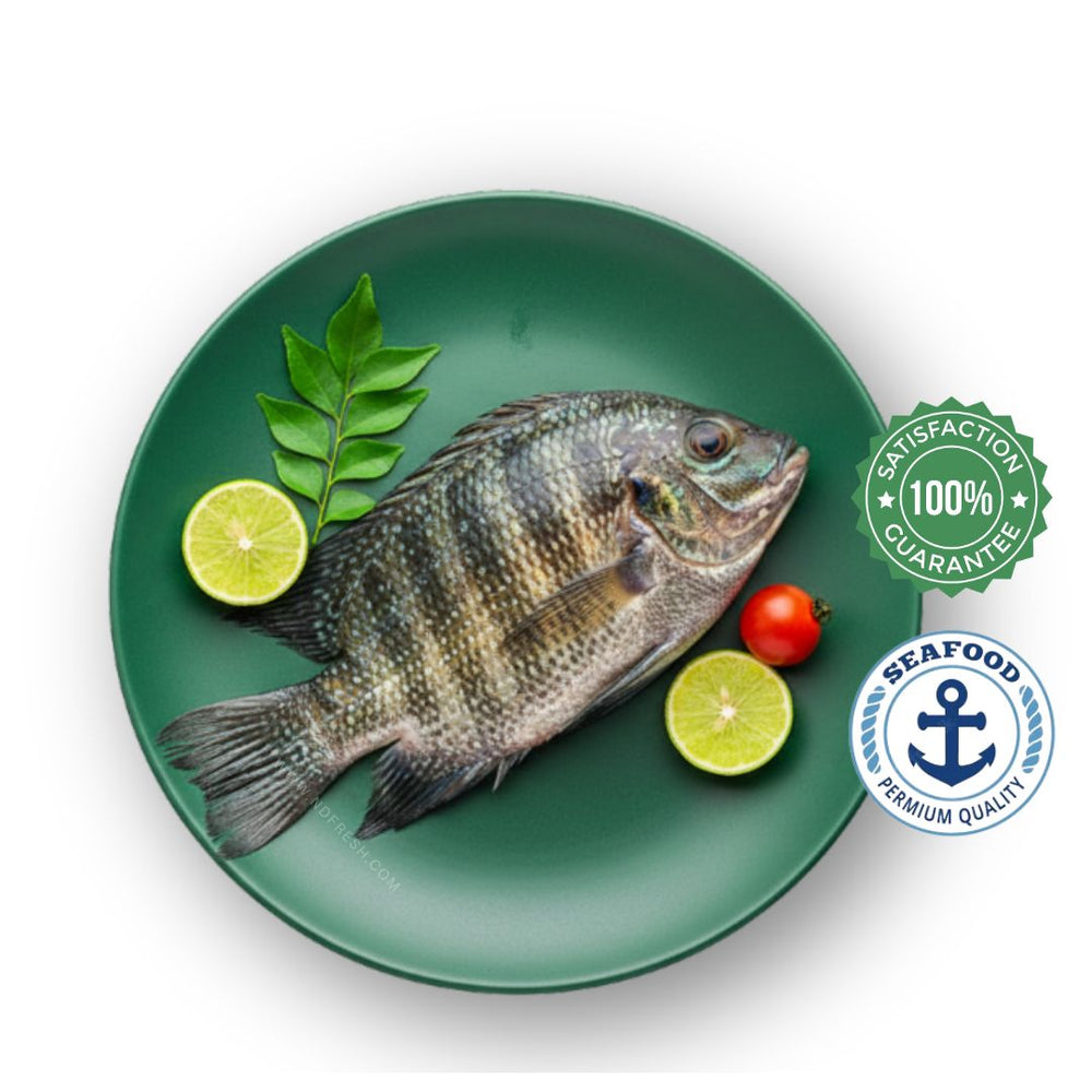 Pearl Spot/ Karimeen (Cleaned )