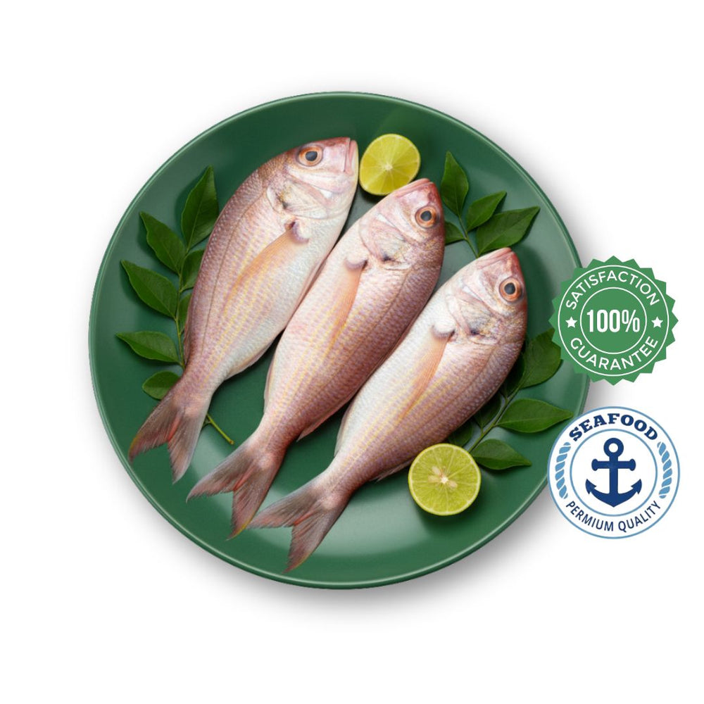 Pink Perch / Kili Meen/ Sankara (Cleaned )