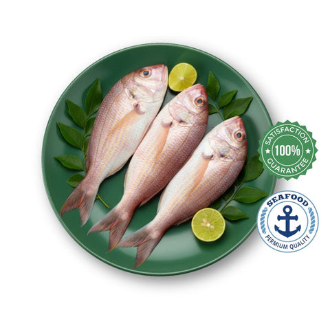Pink Perch / Kili Meen/ Sankara (Cleaned )