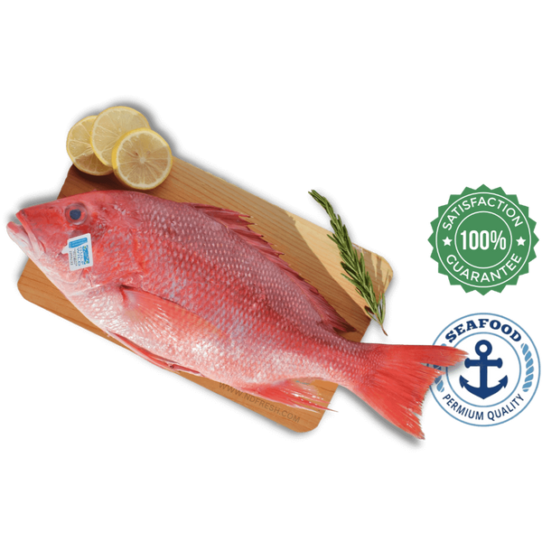 Fresh Red Snapper | Home Delivery | Toronto GTA – NDFRESH