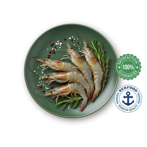 White Shrimp Head-on