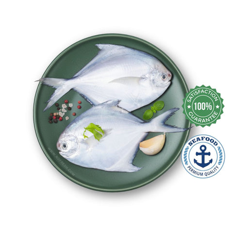 Silver Pomfret / White Pomfret / Avoli - Whole