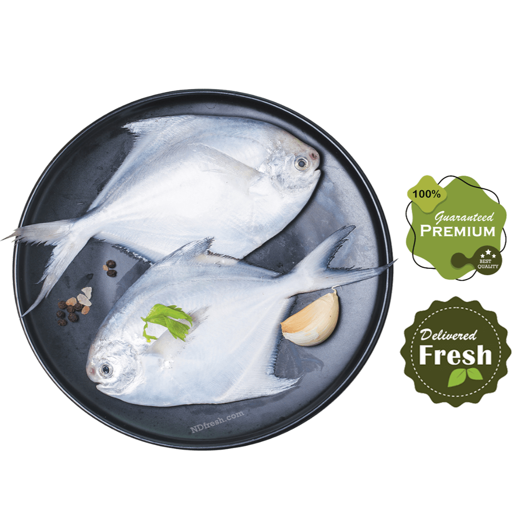 silver pomfret Avoli ND fresh fish home delivery
